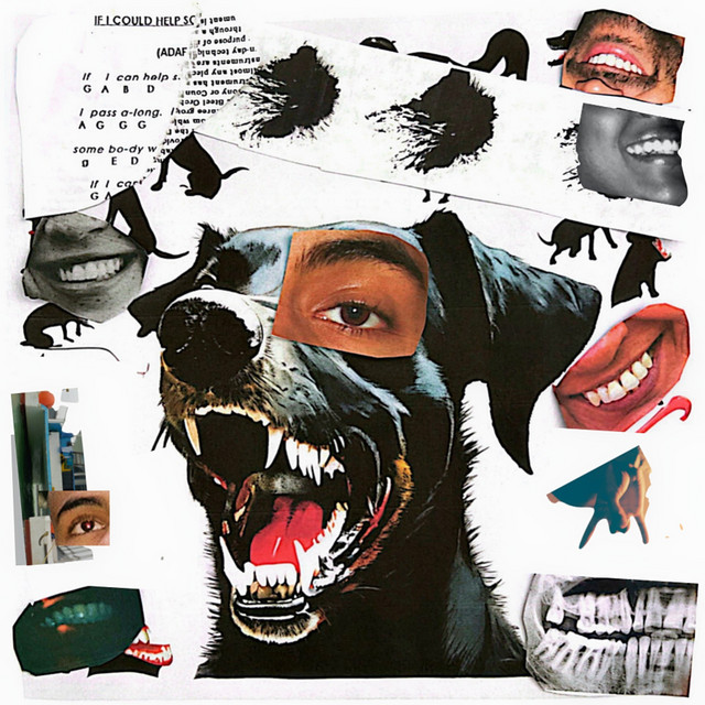 YOU LOOK LIKE YOU TREAT YOUR DOGS LIKE PEOPLE cover art