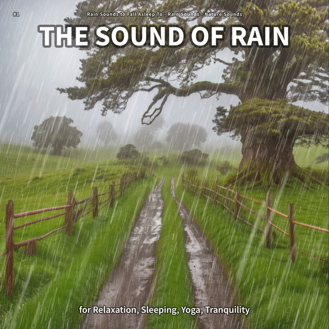 #1 The Sound of Rain for Relaxation, Sleeping, Yoga, Tranquility cover art