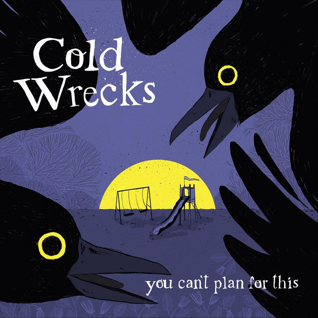 You Can't Plan for This cover