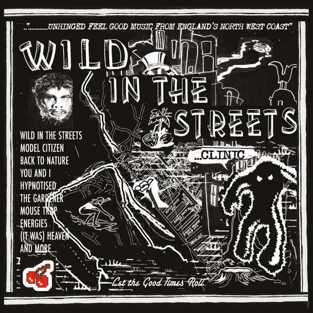 Wild In The Streets album image