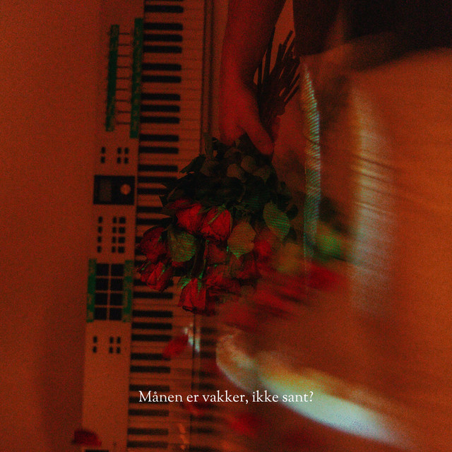 Månen er vakker, ikke sant? cover art