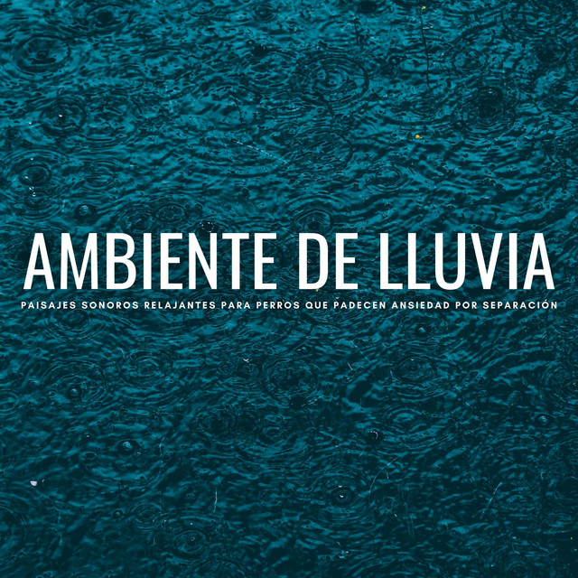 Ambiente De Lluvia: Paisajes Sonoros Relajantes Para Perros Que Padecen Ansiedad Por Separación cover art
