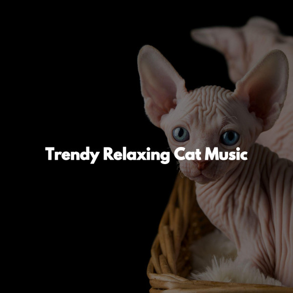 Werk vanuit Huis Playlists