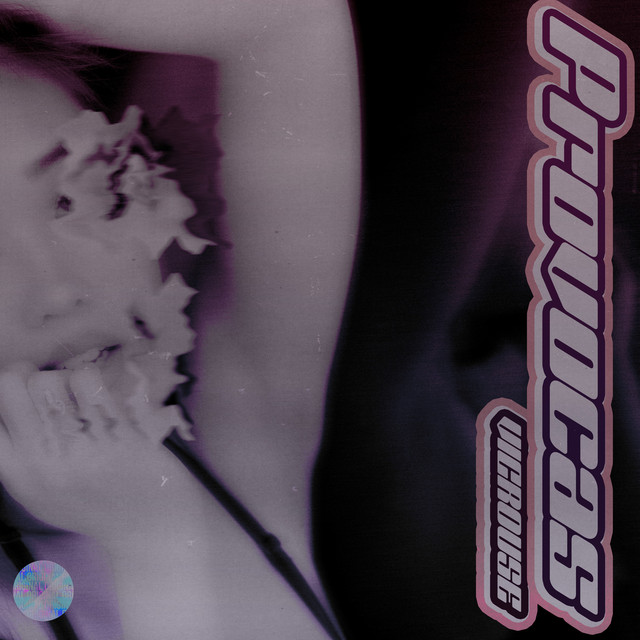PROVOCAS - Demo