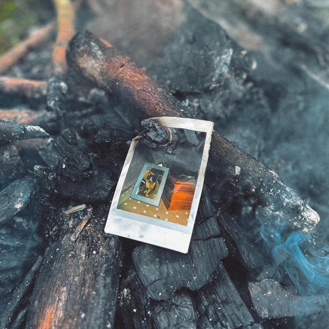 Torch cover art