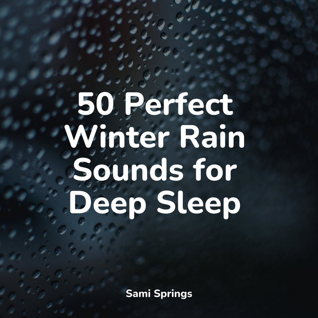 50 Perfect Winter Rain Sounds for Deep Sleep - Album by Echoes Of ...