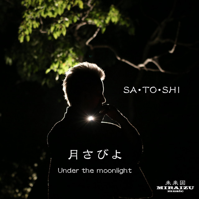 Maizuru（Dancing Crane in the Sky） cover art