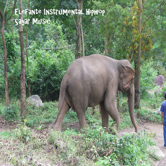Elefante Instrumental Hiphop