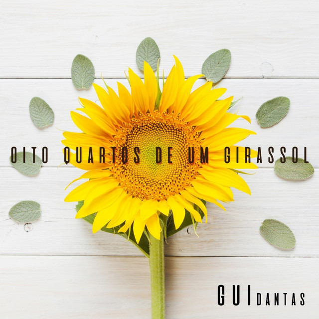 Gui Dantas