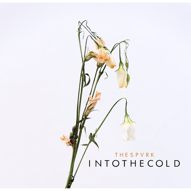 Into the Cold cover