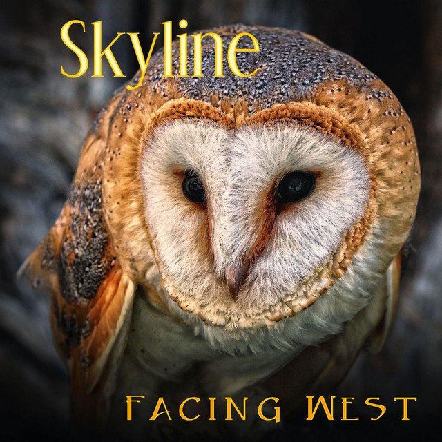Skyline cover art