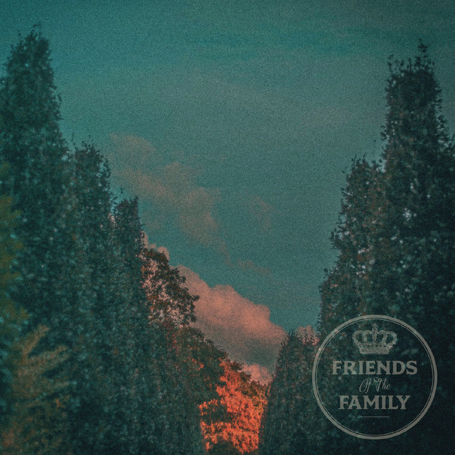Friends of the Family cover art