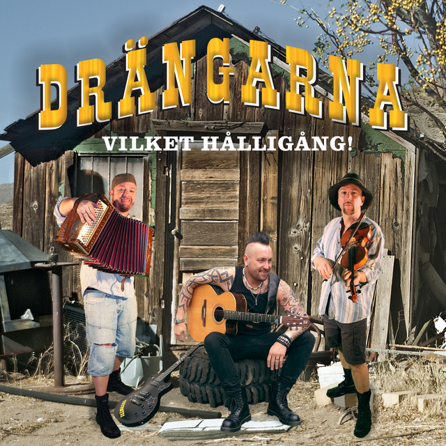 Vilket Hålligång! cover art