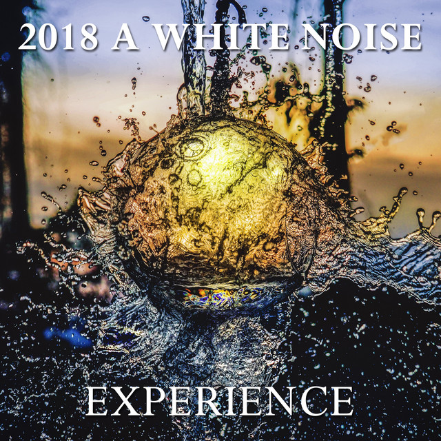 2018 A White Noise Experience cover art
