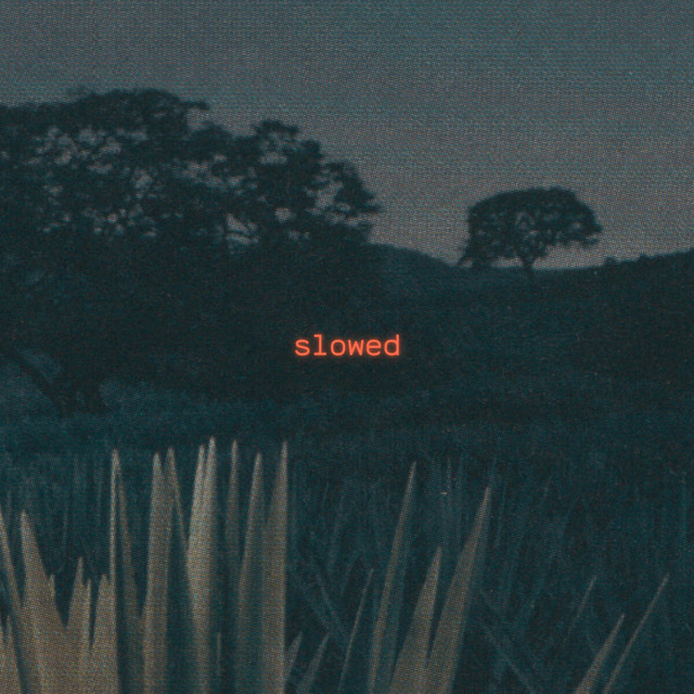 vamo pa mi casa - Slowed