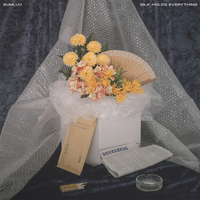 Silk Holds Everything cover art