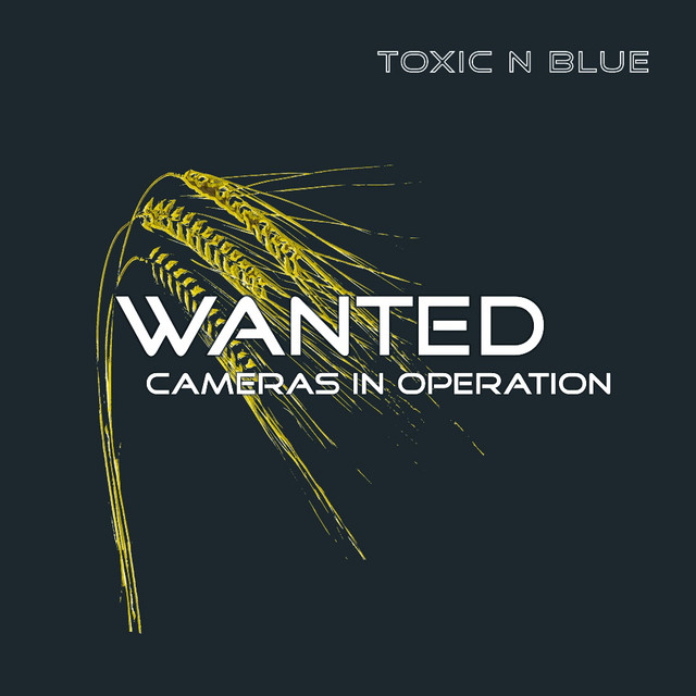 Wanted cover