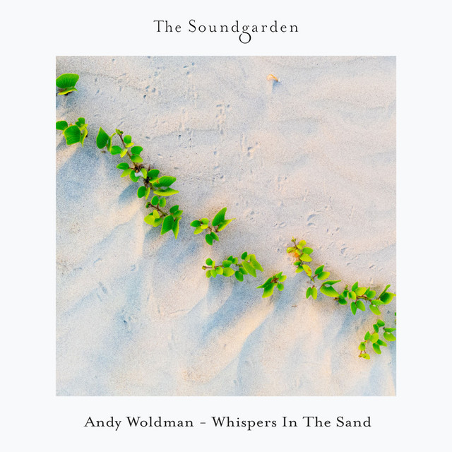 Whispers In The Sand - Extended Mix album art