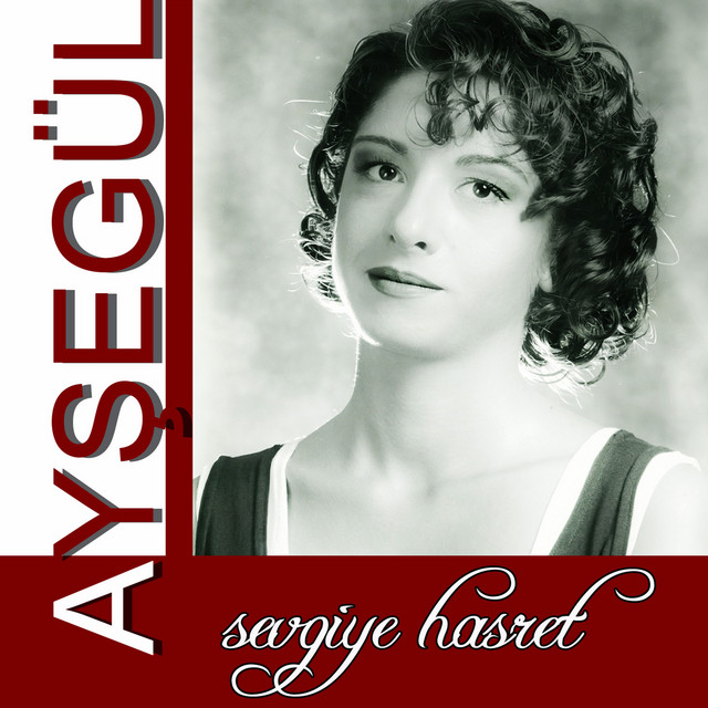 Sevgiye Hasret cover art