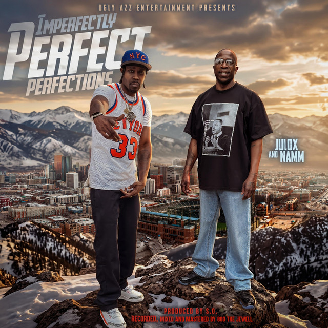 Imperfectly Perfect Perfections cover