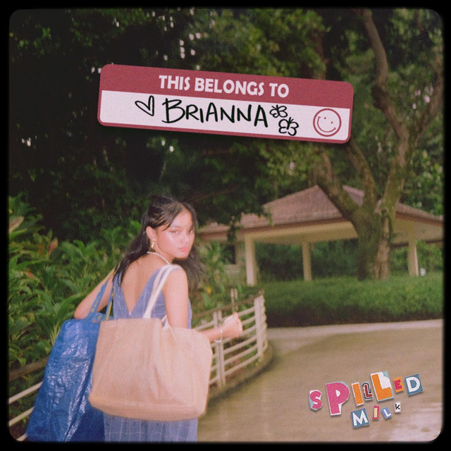 brianna cover art