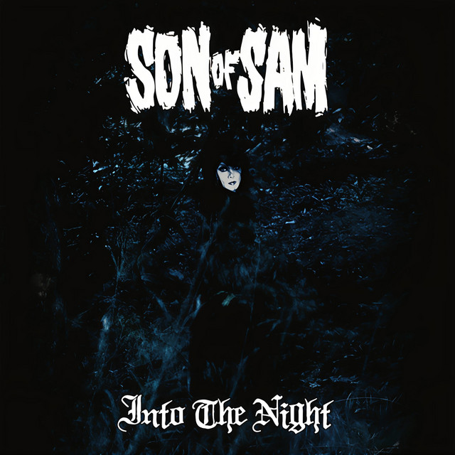 Into the Night cover art