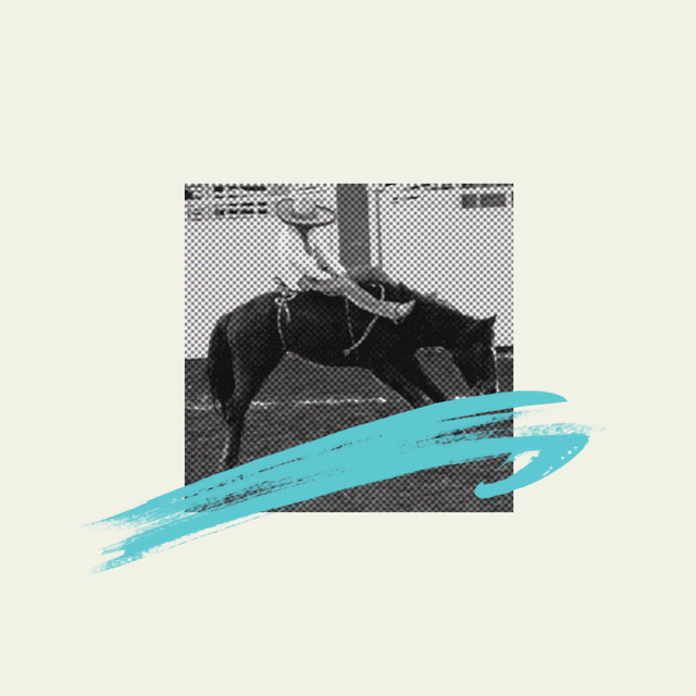 Electric Eel cover