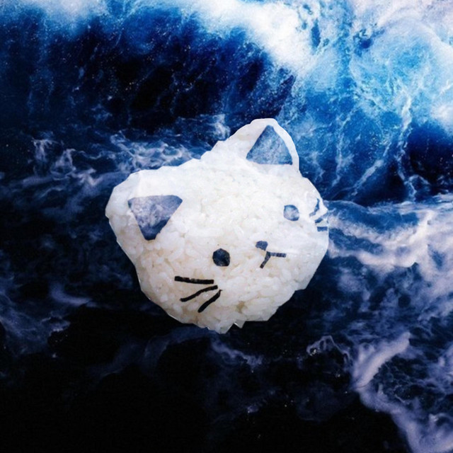 Hydrosphere cover