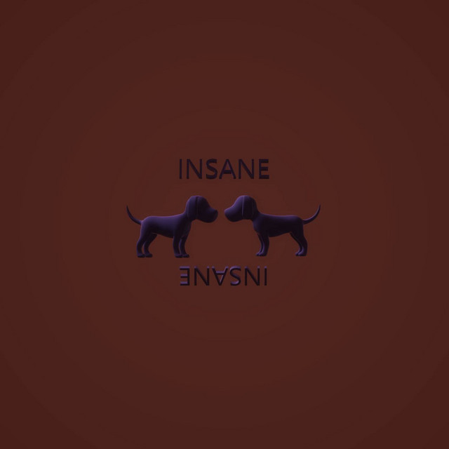 INSANE cover art