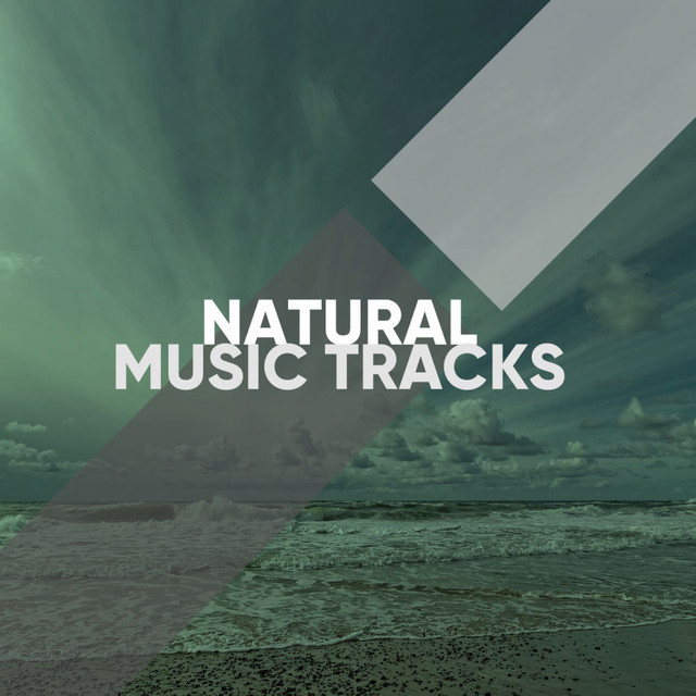 Natural Music Tracks for a Yoga Workout - Compilation by Various ...