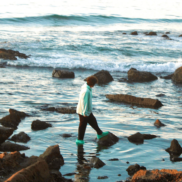 tidepools cover art
