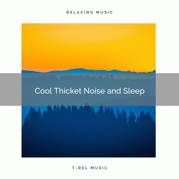 2020 Best: Cool Thicket Noise and Sleep cover art