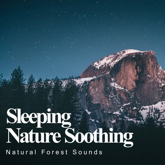 Sleeping Nature Soothing - Album by Natural Forest Sounds | Spotify