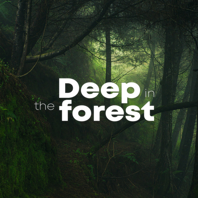 Deep In The Forest cover art