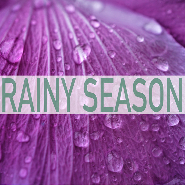 Rainy Season cover art