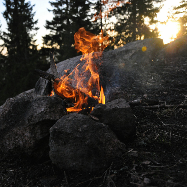 Forest Campfire In The Evening cover art