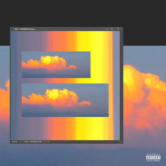 Visa cover art
