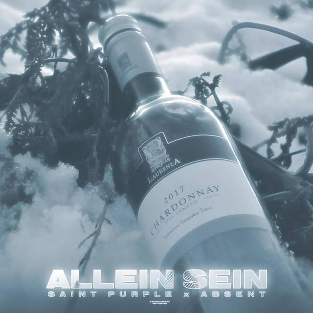 Allein Sein cover art