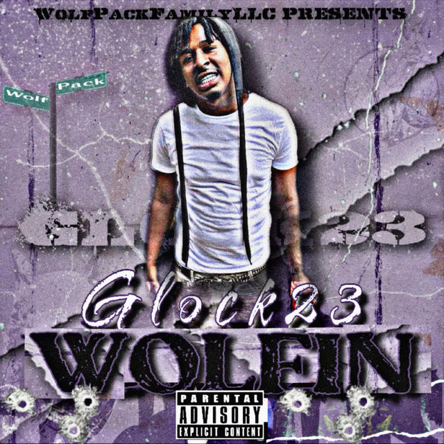 Wolfin cover art