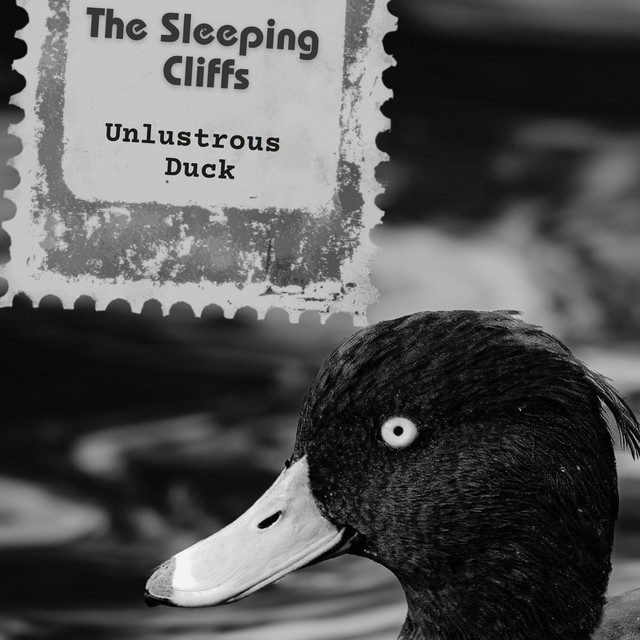 Unlustrous Duck (single)