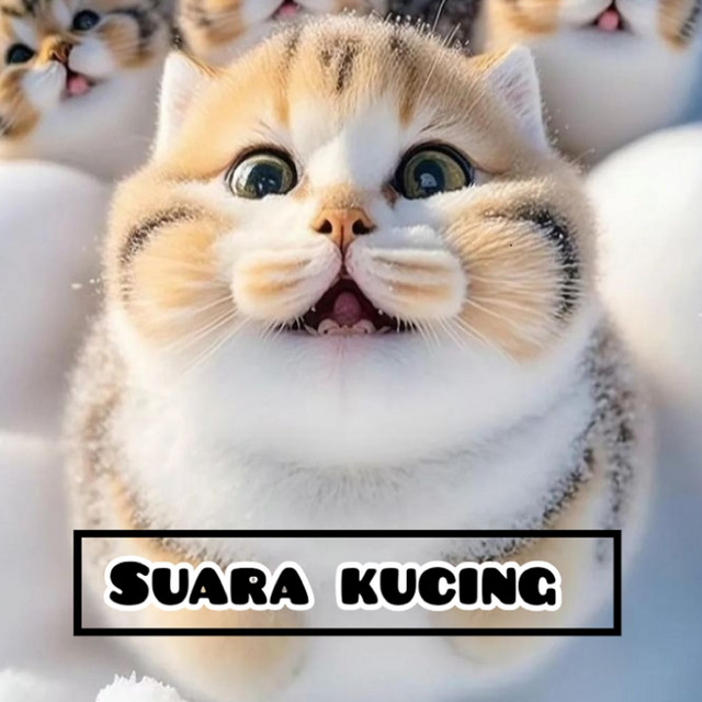 Suara Kucing - Single by Kucing | Spotify