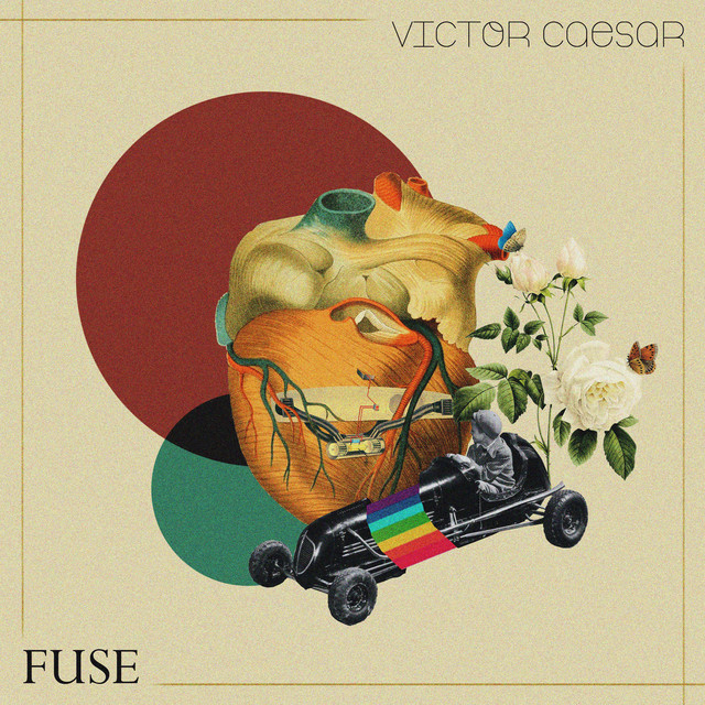 Fuse cover art