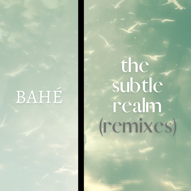 The Subtle Realm - Casis Remix