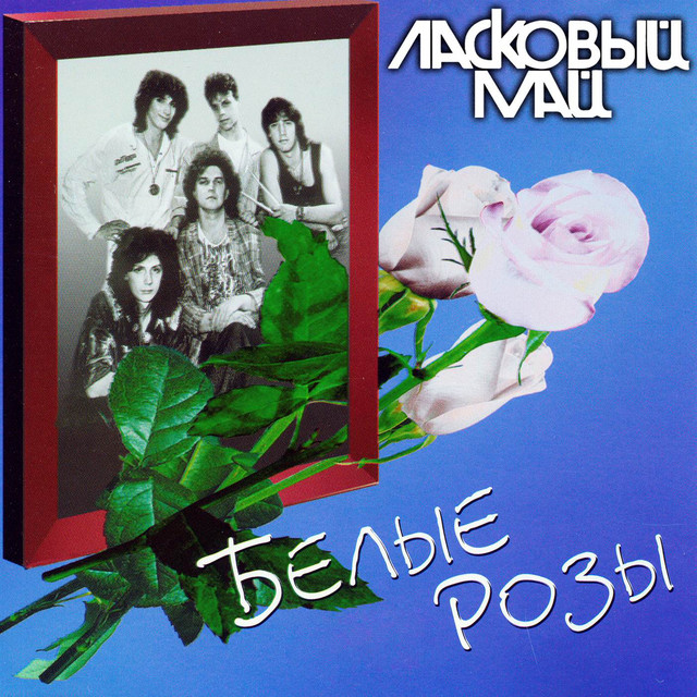 Белые розы cover art