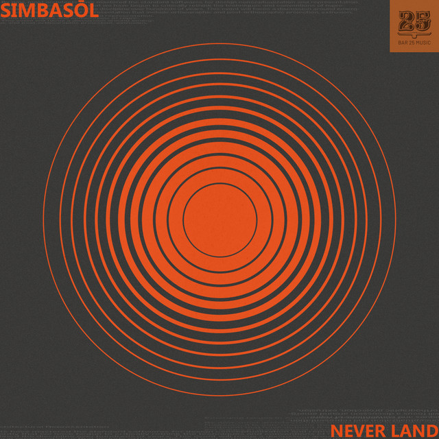 Pochette du titre Never Land