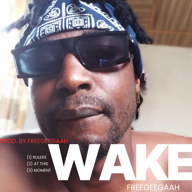 Wake cover art