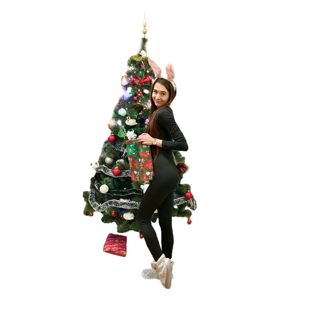 Обкладинка: Merry Christmas — Allaya