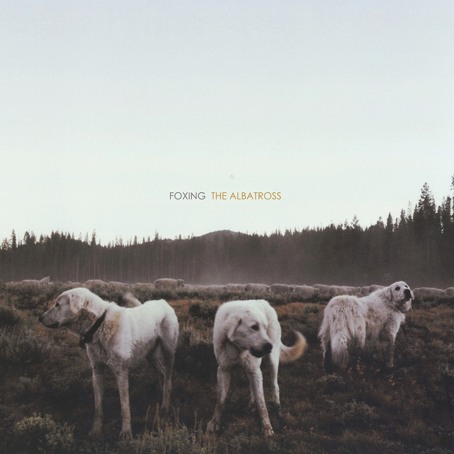 The Albatross cover art