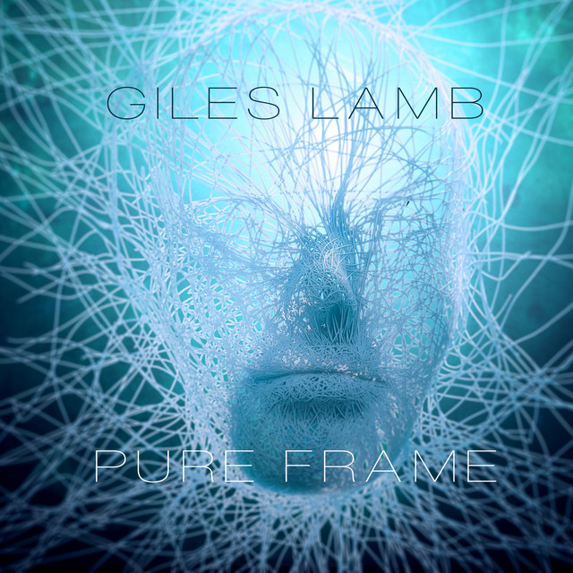 Pure Frame cover art