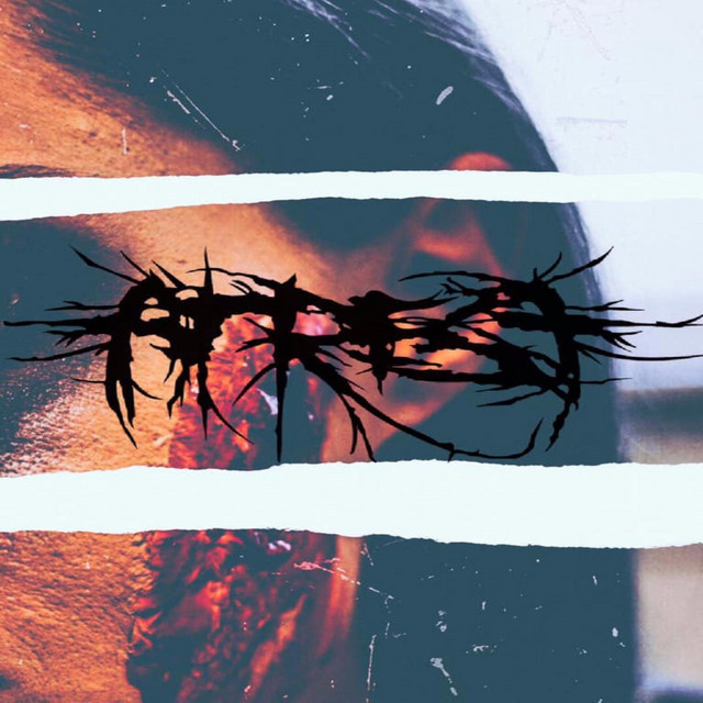 The Desire for Digital Decay cover